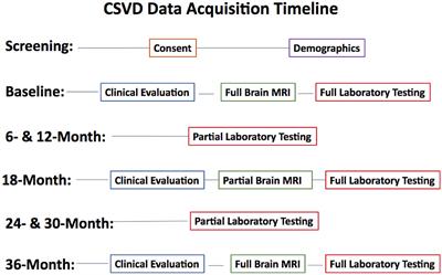 Pathomechanisms of HIV-Associated Cerebral Small Vessel Disease: A Comprehensive Clinical and Neuroimaging Protocol and Analysis Pipeline